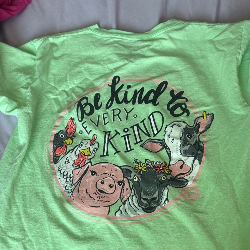 Comfort Colors Mint Green Kids Tee - Be Kind Design